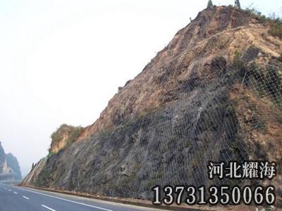 邊坡攔石防護(hù)網(wǎng)